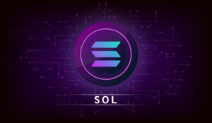 29192833_sol