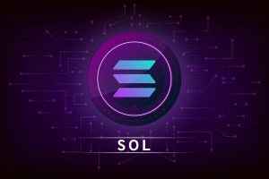 29192833_sol